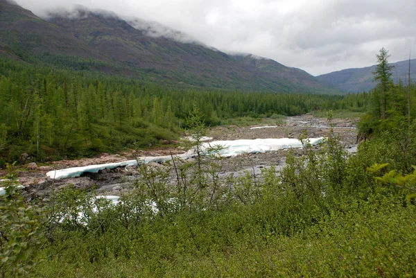 Le champ de glace au bord de la rivière de montagne . — Photo