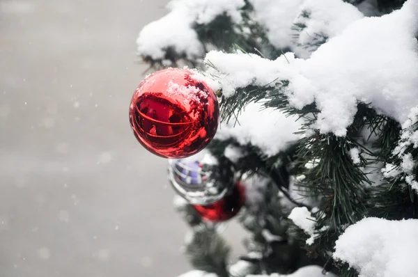 球在圣诞树上的雪. — 图库照片
