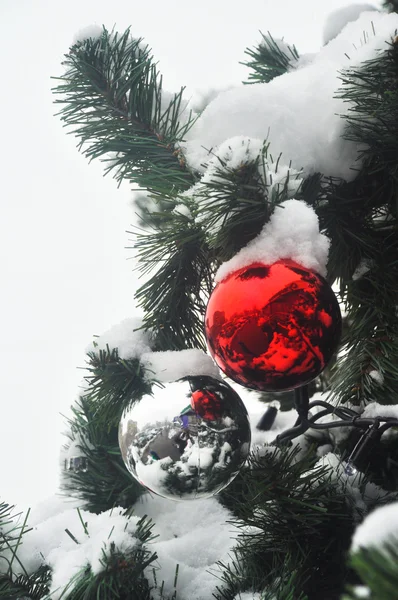 Palla nella neve sull'albero di Natale . — Foto Stock