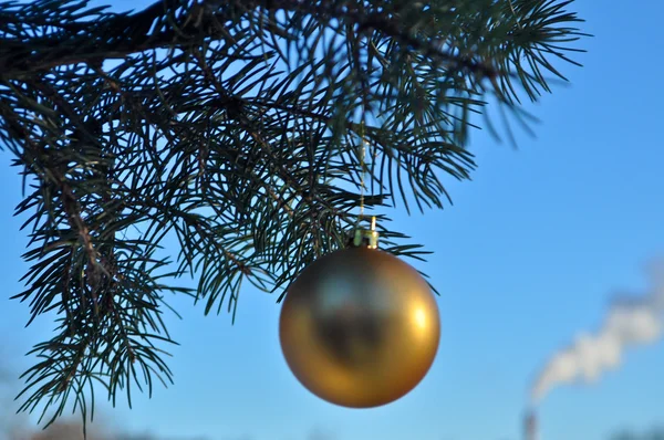 La bola de oro en una rama del árbol de Navidad . — Foto de Stock