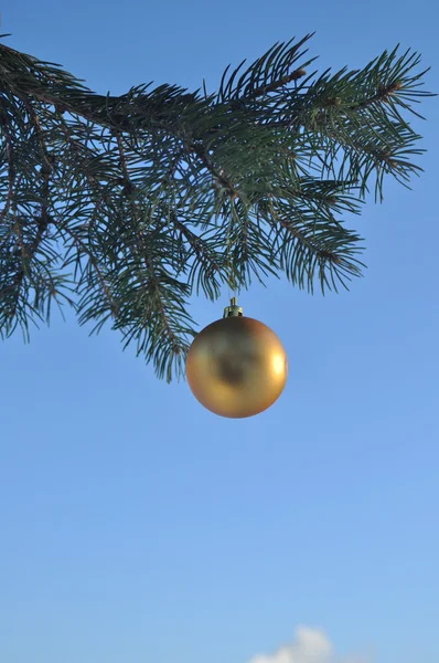 Die goldene Kugel auf einem Zweig des Weihnachtsbaums. — Stockfoto