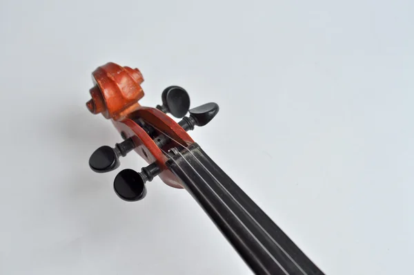 Violín Grif . — Foto de Stock