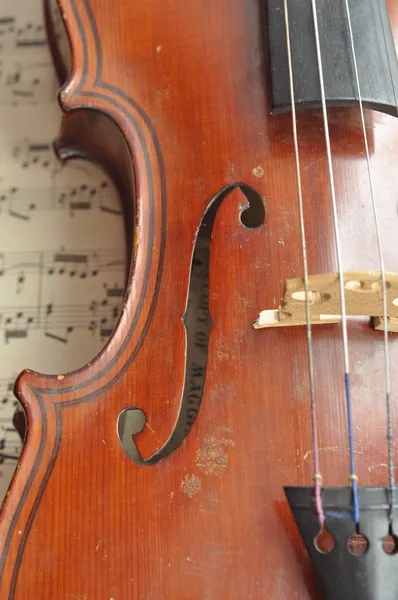 Bostäder violin. — Stockfoto