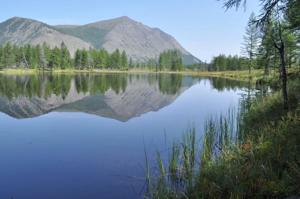 湖と山の反射の風景 — ストック写真