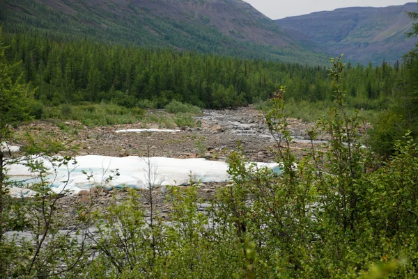 The ice-field in the tideway of the mountain river. — Stock Photo, Image