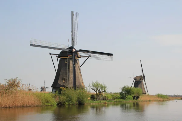 네덜란드 풍차. — 스톡 사진