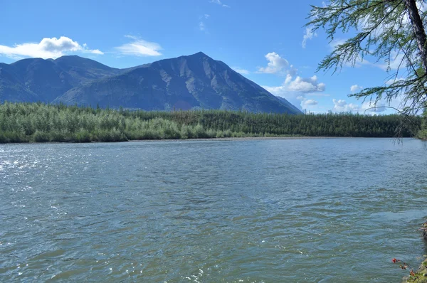 Paisaje al norte del río . — Foto de Stock