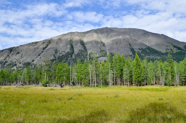Χορτώδους κοιλάδα κατά μήκος της κορυφογραμμής του βουνού. — Φωτογραφία Αρχείου