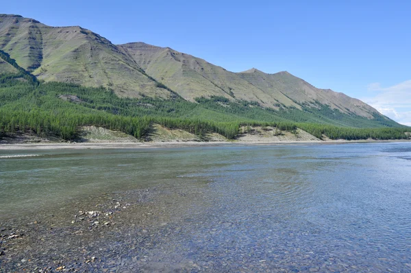 Zonnige landschap van de rivier in de bergen. — Stockfoto