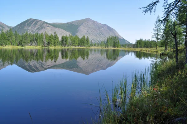 湖と山の反射の風景 — ストック写真