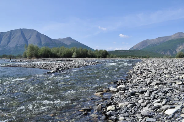 Pebble oever van een rivier berg. — Stockfoto