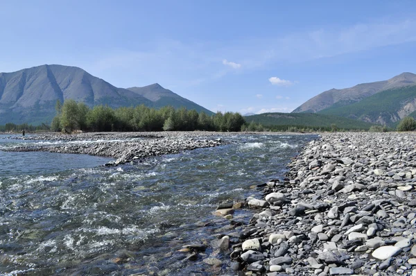 Pebble Bank of a mountain river.