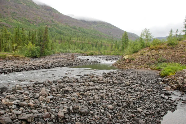Górska rzeka w skałach. — Zdjęcie stockowe