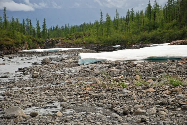 Ice-fältet i tideway av floden berg. — Stockfoto