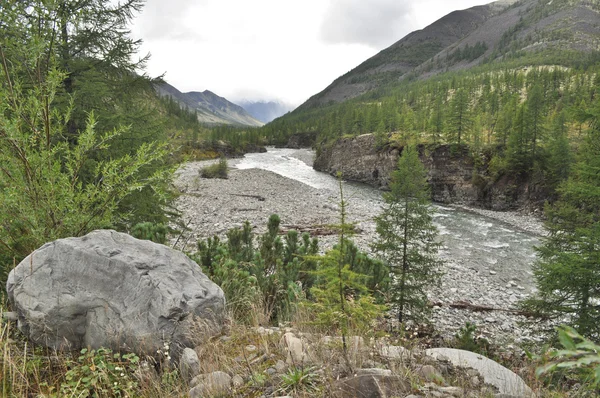 Floden i bergen i Jakutien. — Stockfoto