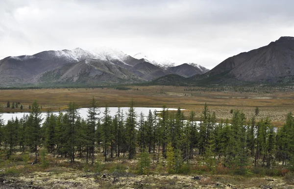 sonbahar tundra Yakutya dağlarda zemin üzerine.