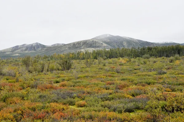 Tundra de outono no fundo das montanhas em Yakutia . — Fotografia de Stock