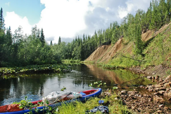 Calm forest river. — Stock Photo, Image