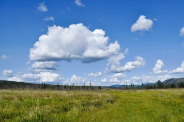 Bataklık düz mavi gökyüzünün altında.