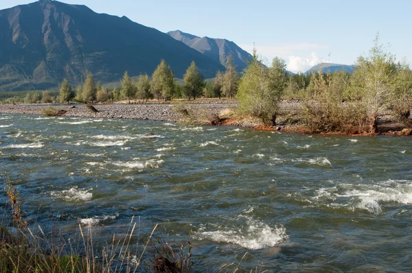 Río de montaña. — Foto de Stock