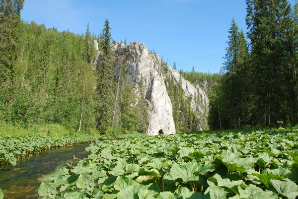 Scogliere sulle rive del fiume . — Foto Stock