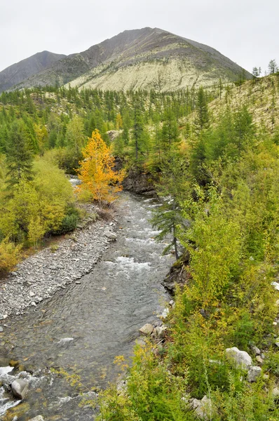 The river in mountains of Yakutia. — Stock Photo, Image