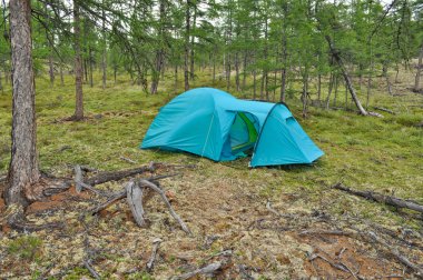 Tayga çadır turist