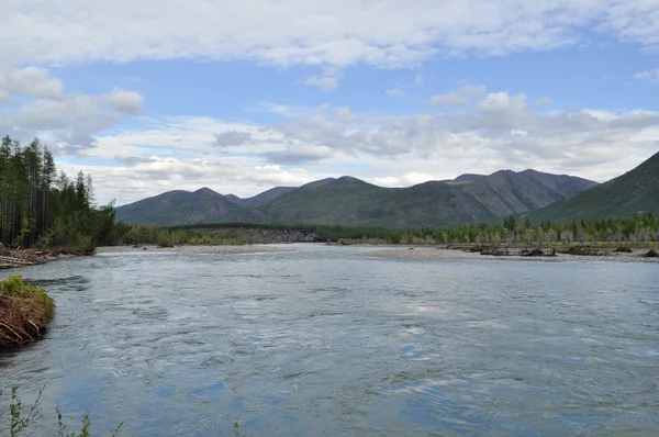 Dağ nehri. — Stok fotoğraf