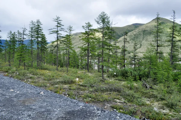 Montañas de Yakutia a finales del verano . — Foto de Stock