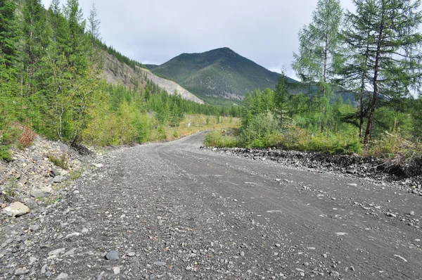 Soil highway in Yakutia. — Stock Photo, Image