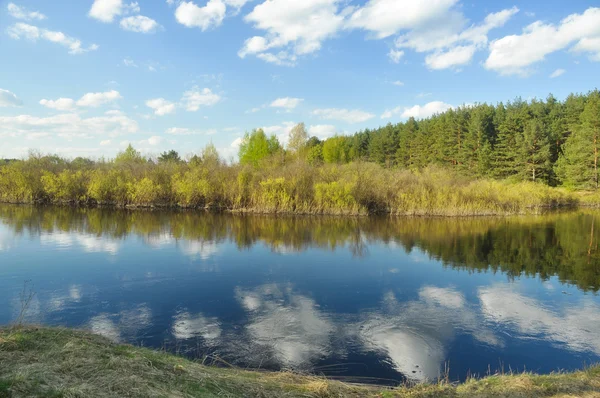 Tavaszi táj erdő folyó. — Stock Fotó