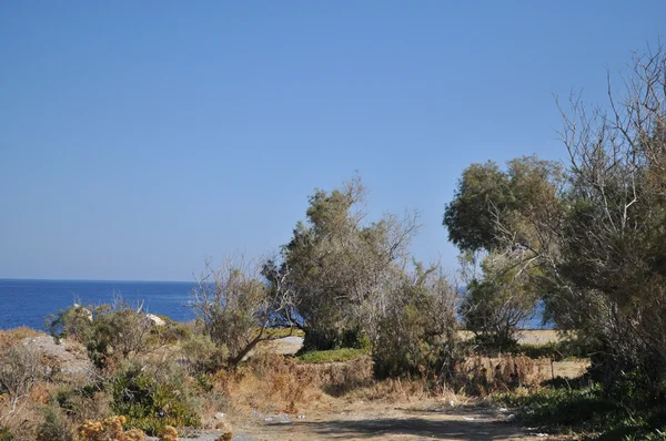 Meer Sommer Landschaft Küste der griechischen Insel. — Stockfoto