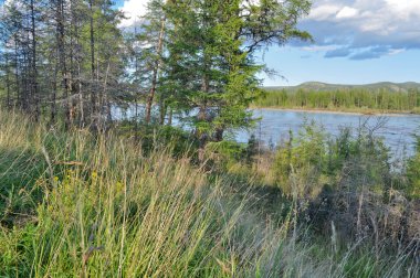 Nehir ve dağ ile manzara.