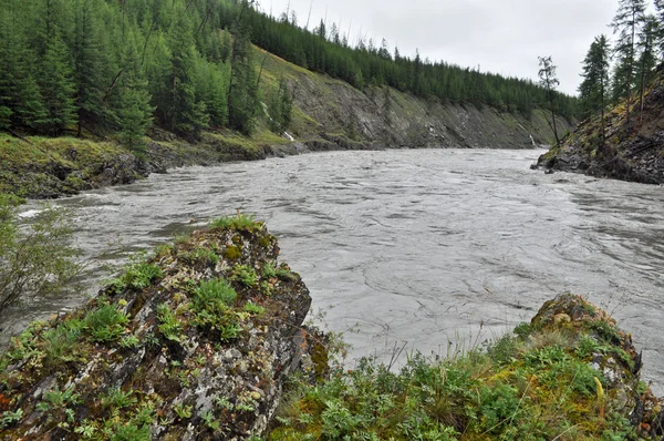 Canyon on the river Suntar. — Stock Photo, Image