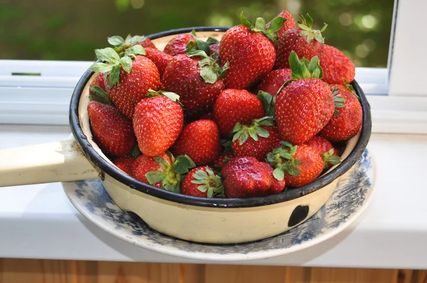 Rote, saftige Erdbeeren. — Stockfoto