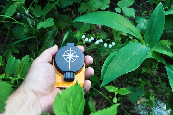 Compass in hand, against the background of blooming lilies. — Stock Photo, Image