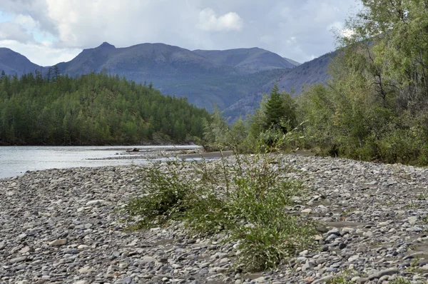 Landschap ten noorden van de rivier. — Stockfoto