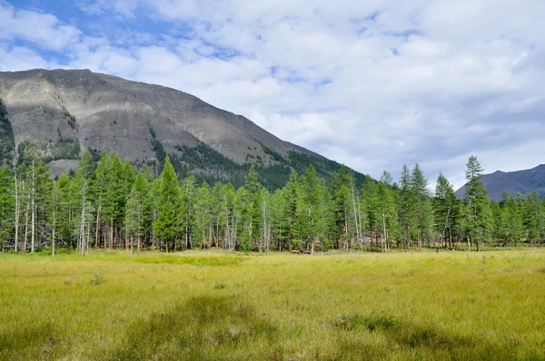 Gräsbevuxen dal längs berget åsen. — Stockfoto