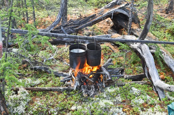 Cooking on camp fire. — Stock Photo, Image