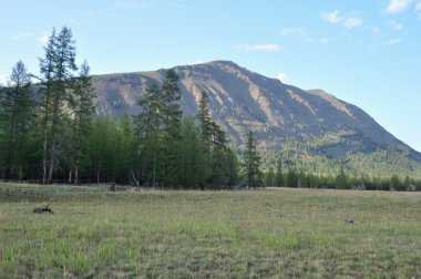 dağ Vadisi nehir suntar çayırlar. 