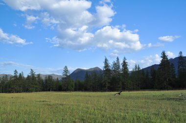 dağ Vadisi nehir suntar çayırlar. 