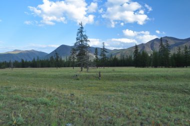 dağ Vadisi nehir suntar çayırlar. 