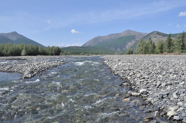 Pebble bank en berg flod. — Stockfoto