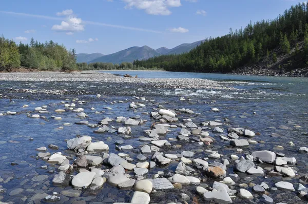 Pebble Bank of a mountain river. — Stock Photo, Image