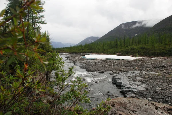 El campo de hielo en la marea del río de la montaña . — Foto de Stock