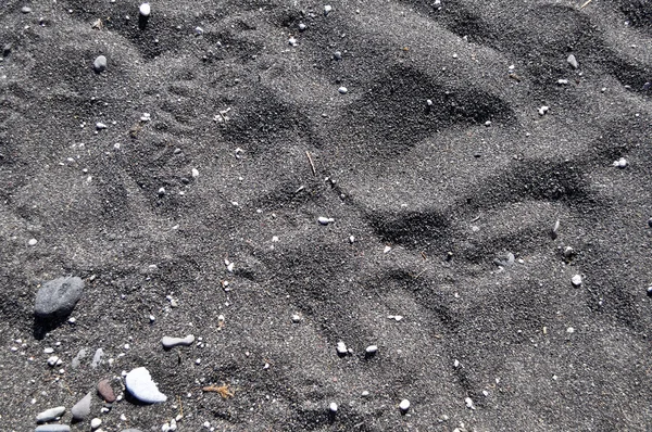 A textúra a homok a tengerparton. — Stock Fotó
