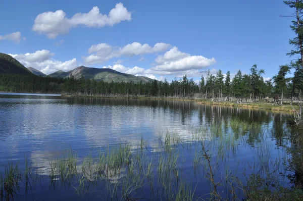 Paisagem com um lago e montanhas ao longo das margens . — Fotografia de Stock