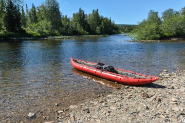 Bakire Komi ormanları. Yugyd va Ulusal Parkı 'ndaki Shchugor nehri..
