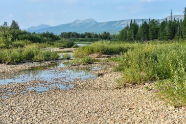 Bakire Komi ormanları. Yugyd va Ulusal Parkı 'ndaki Shchugor nehri..