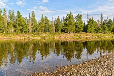 Bakire Komi ormanları. Yugyd va Ulusal Parkı 'ndaki Shchugor nehri..